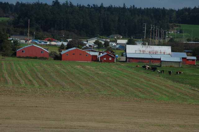 farming, Whidbey